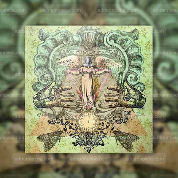 Codex.Anvo